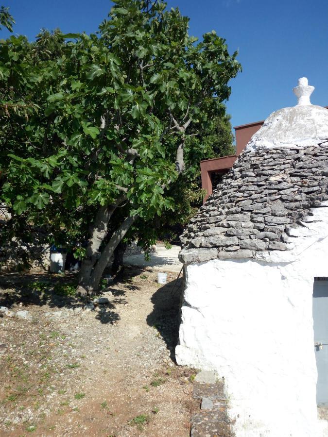 Villa Anna Selva Di Fasano Εξωτερικό φωτογραφία